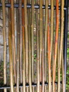 KIELCE_ŻyWa ściana14