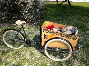 cargo (12)