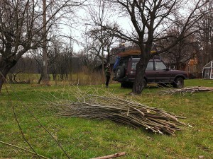 sanok (1)