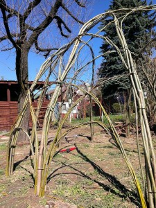 sanok (10)