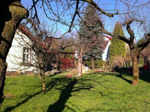 sanok (14)