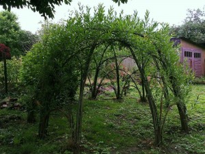 sanok (17)