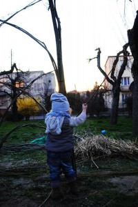 sanok (7)