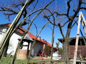 sanok (8)