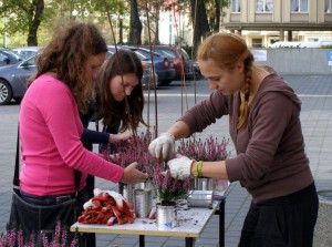 wrzosowo-wiklinowa instalacja - lubicz (2)