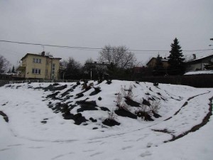 Wierzbowa przestrzeń dla dzieciaków w przedszkolu w Bielsko-Białej