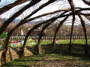 Wierzbowa przestrzeń dla dzieciaków w przedszkolu w Bielsko-Białej