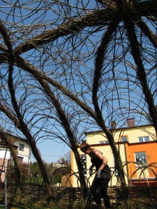 Wierzbowa przestrzeń dla dzieciaków w przedszkolu w Bielsko-Białej