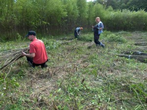 Wierzbowa przestrzeń dla dzieciaków w przedszkolu w Bielsko-Białej