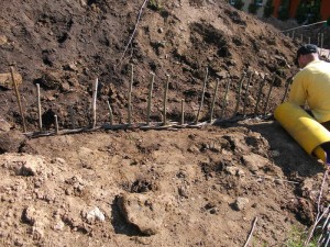 Wierzbowa przestrzeń dla dzieciaków w przedszkolu w Bielsko-Białej