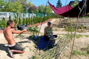 Wierzbowa przestrzeń dla dzieciaków w przedszkolu w Bielsko-Białej