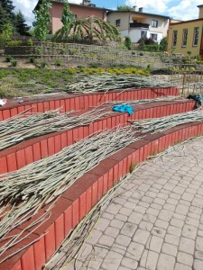 Wierzbowa przestrzeń dla dzieciaków w przedszkolu w Bielsko-Białej