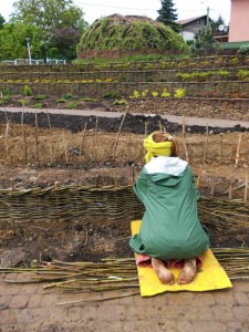 Wierzbowa przestrzeń dla dzieciaków w przedszkolu w Bielsko-Białej