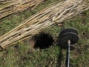 Wierzbowa przestrzeń dla dzieciaków w przedszkolu w Bielsko-Białej