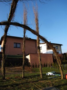 Wierzbowa przestrzeń dla dzieciaków w przedszkolu w Bielsko-Białej